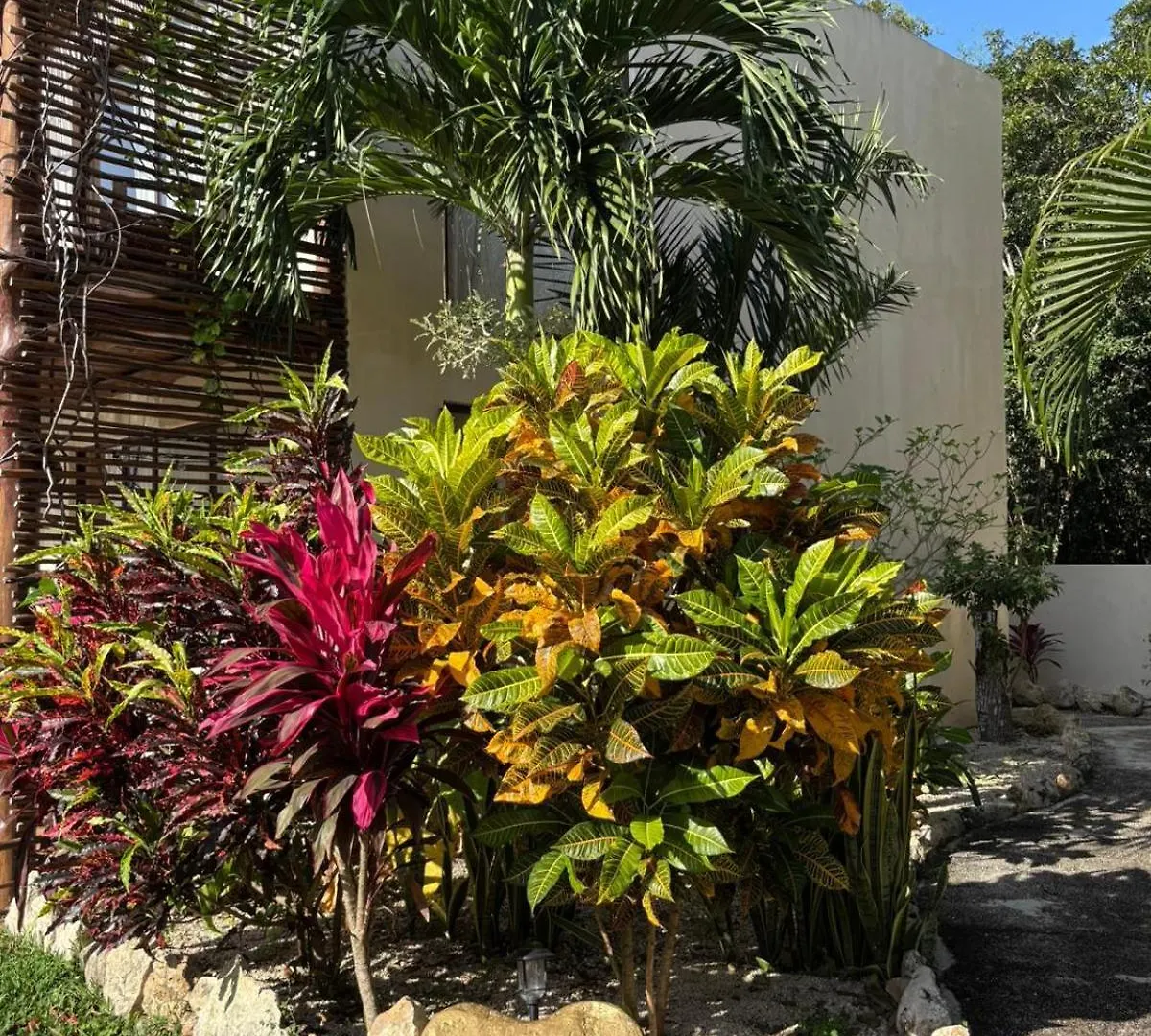 Villa Ahal, Chemuyil Mexico