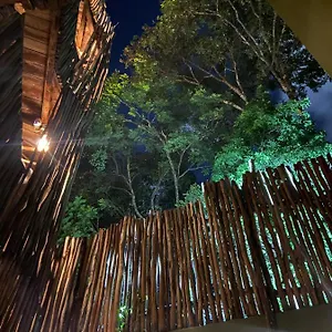 **** Bed & Breakfast Loba Male Only Mexico