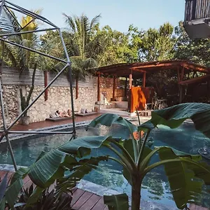  Hotel Botanica Mexique